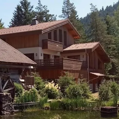 Du Nol Apartment La Bresse
